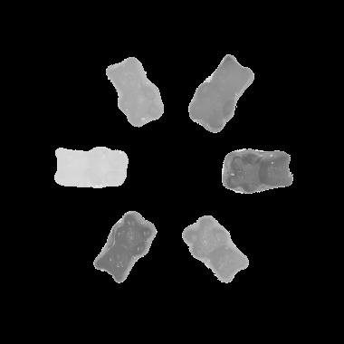 Citra Grayscale Hasil Segmentasi