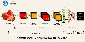 Arsitektur Convolutional Neural Network (CNN) untuk Pengolahan Citra ...